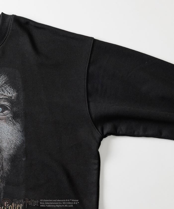 Harry Potter /《哈利·波特》 格雷伯克圓領衛衣
