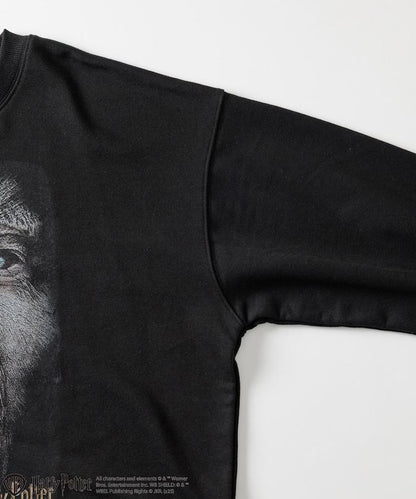 Harry Potter /《哈利·波特》 格雷伯克圓領衛衣