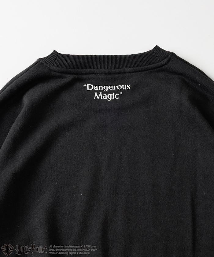 Harry Potter /《哈利·波特》貝拉·特里克斯圓領衛衣