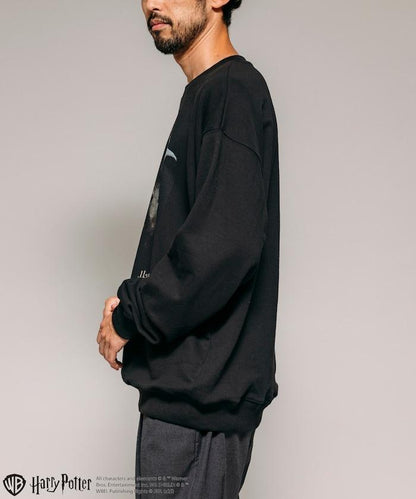 Harry Potter /《哈利·波特》多比正面印花圓領衛衣