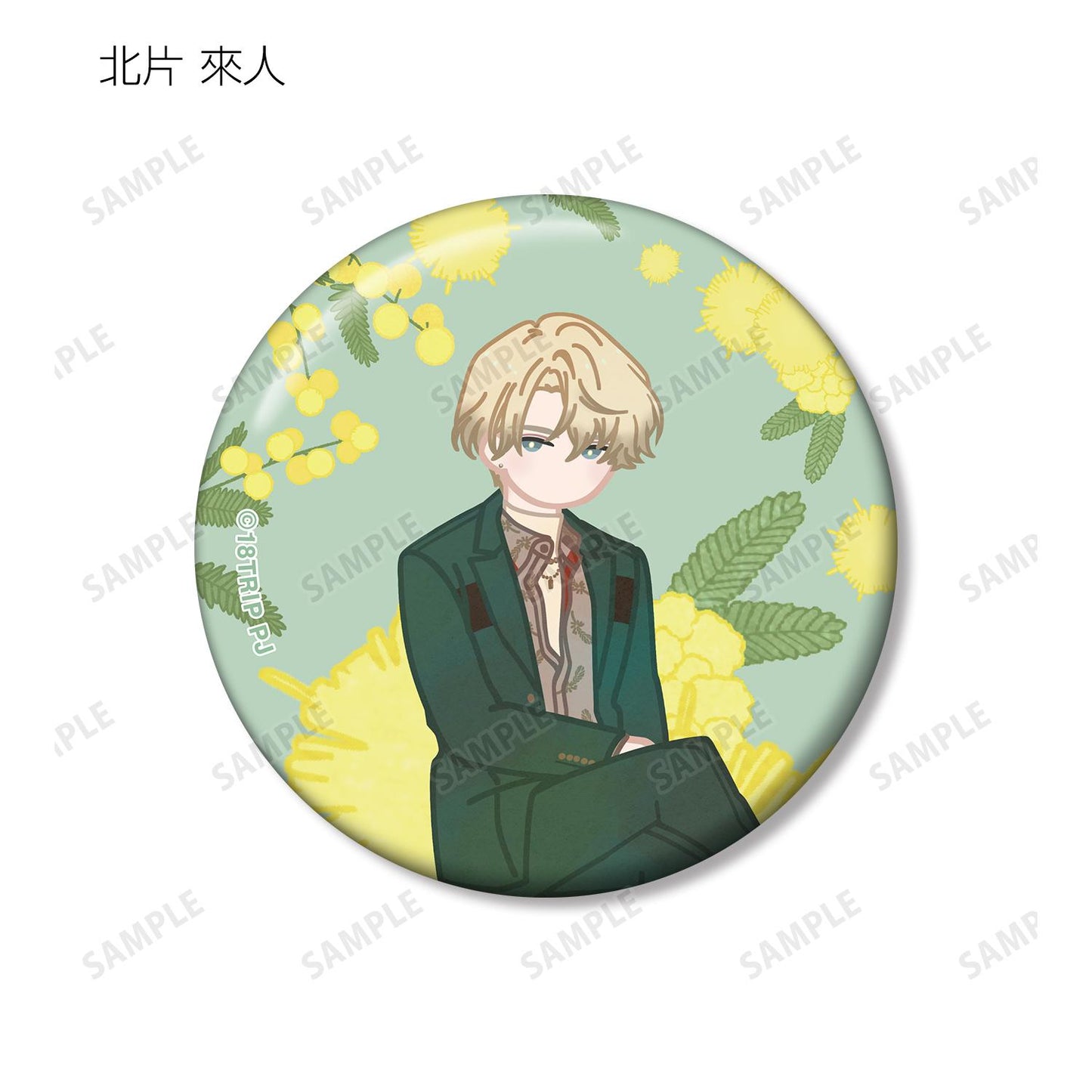 18TRIP_隨機 Botania 金屬徽章 ver.B（單品/全套BOX）【全套BOX/10個裝】