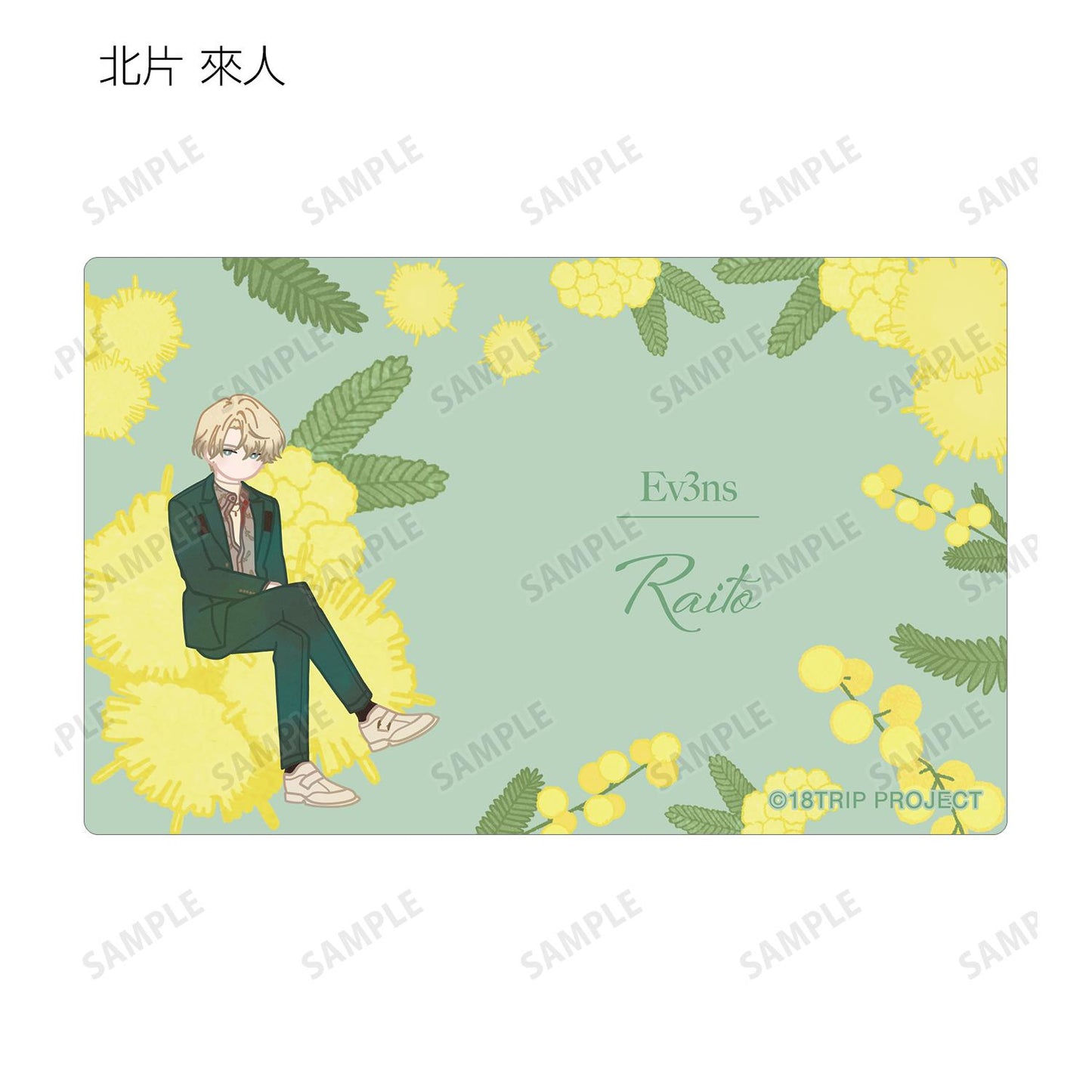 18TRIP_隨機Botania卡片貼紙 ver.B（單位/整盒）【整盒/10個裝】