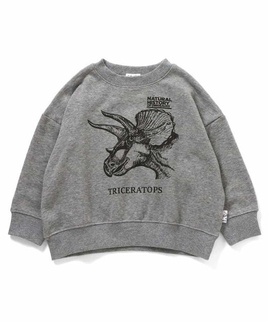 3色3款恐龍衛衣