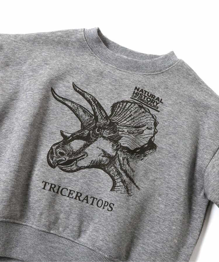 3色3款恐龍衛衣