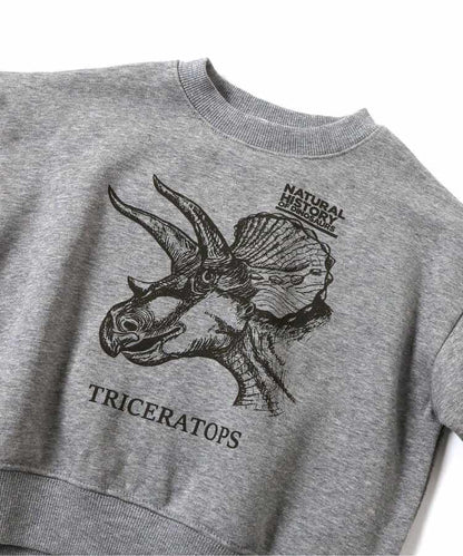 3色3款恐龍衛衣