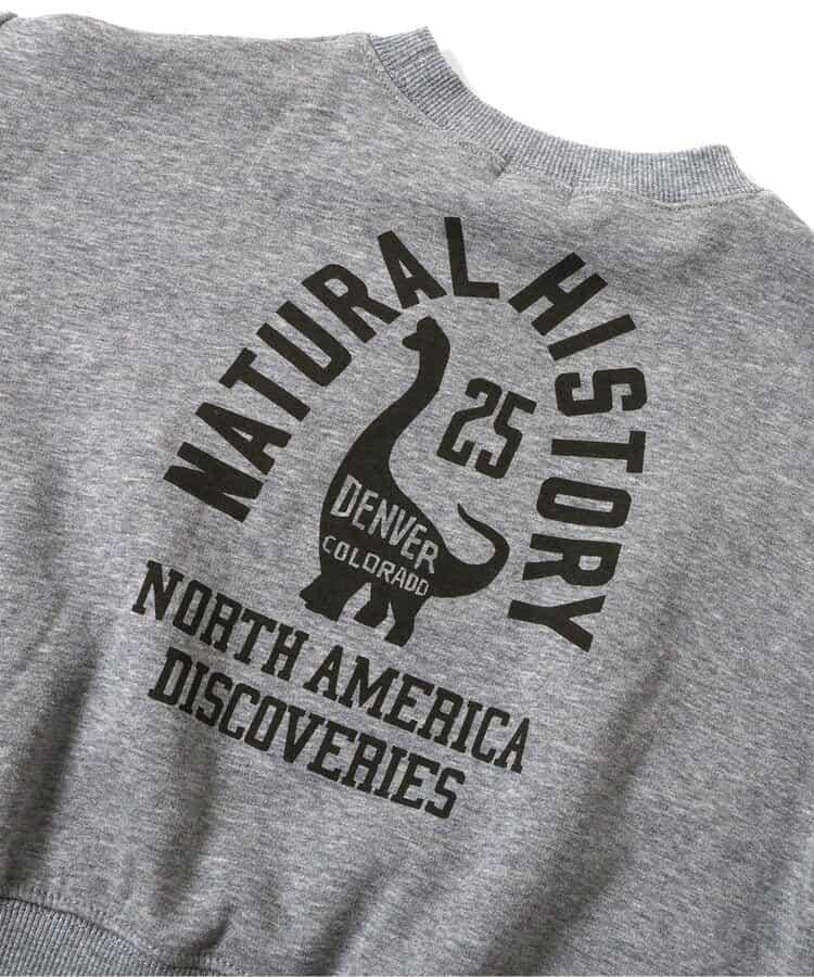 3色3款恐龍衛衣