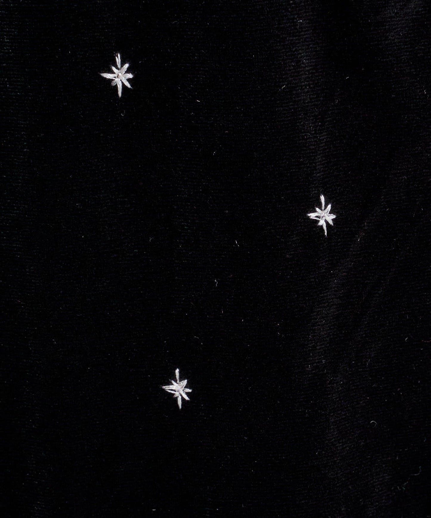 天鵝絨刺繡連衣裙