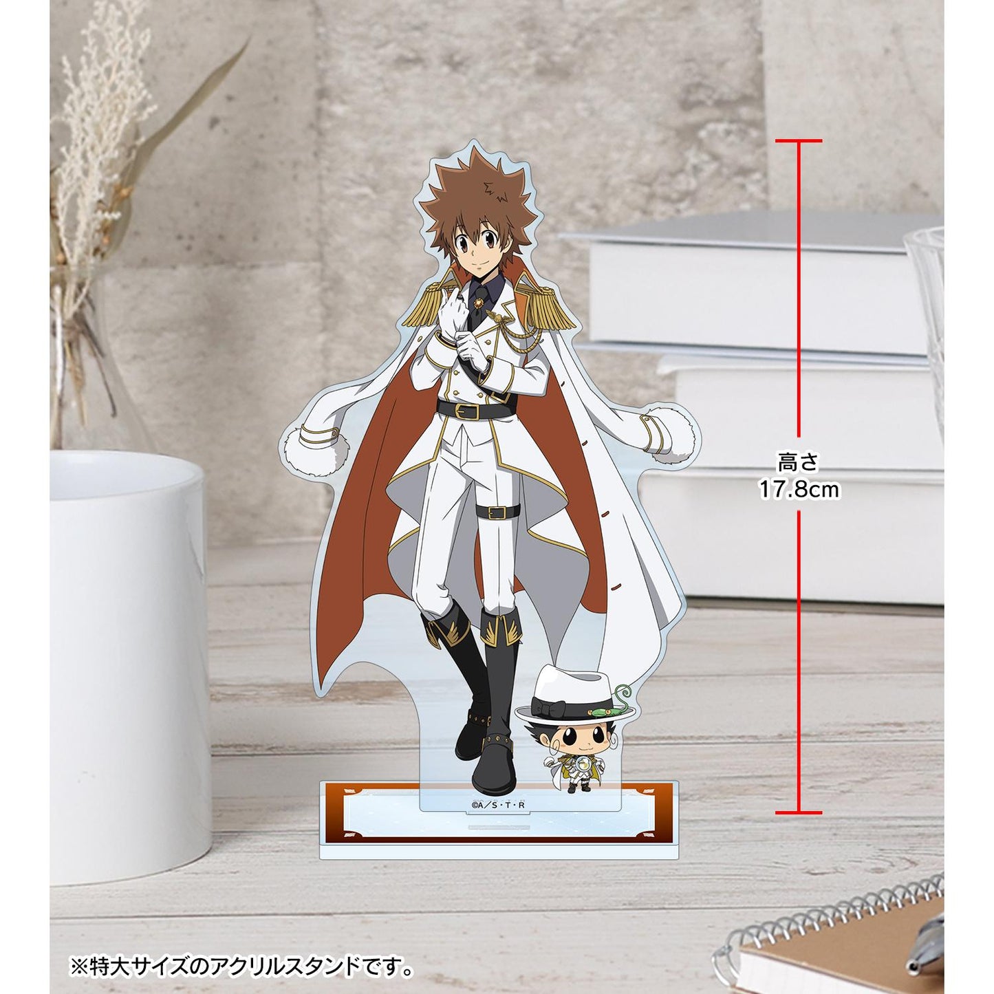 《家庭教師HITMAN REBORN!》 繪製 沢田綱吉&里包恩 白色服裝版 特大亞克力立牌