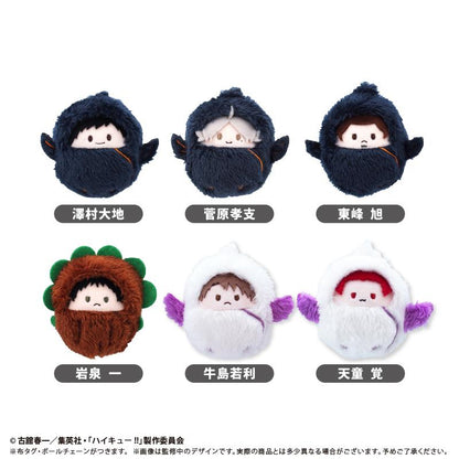 《排球少年》 くるみたぴぬい Vol.3【全套BOX／6個裝】