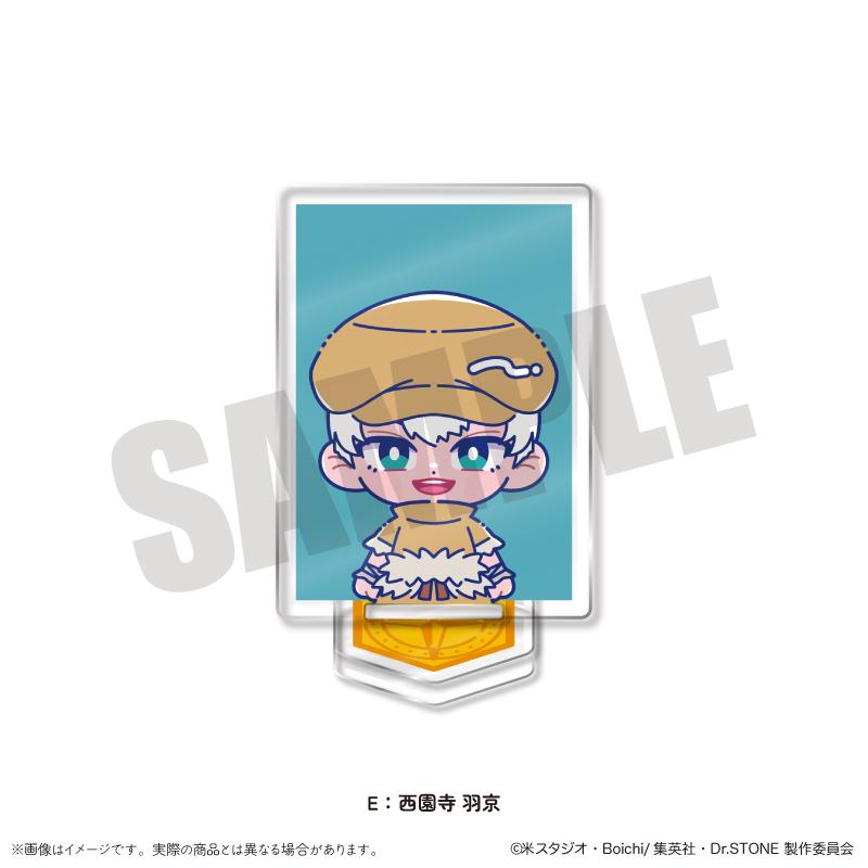 《Dr.STONE 石紀元》 柔滑ID照片風迷你立牌 E 西園寺羽京