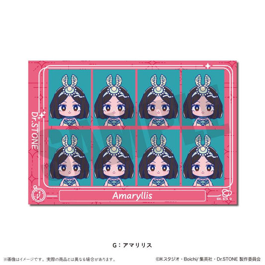 《Dr.STONE 石紀元》_にゅ〜とろ 第二彈 ID照片貼紙 G 阿瑪麗莉絲