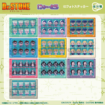 《Dr.STONE 石紀元》_にゅ〜とろ 第二彈 ID照片貼紙 I 莫茲