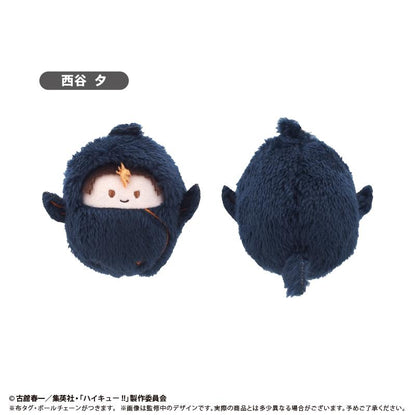 《排球少年》 くるみたぴぬい Vol.4【全套BOX／6個裝】