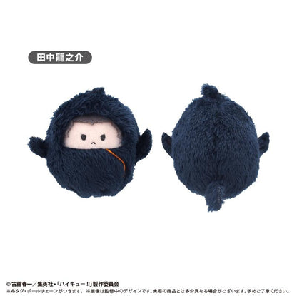 《排球少年》 くるみたぴぬい Vol.4【全套BOX／6個裝】