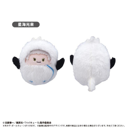 《排球少年》 くるみたぴぬい Vol.4【全套BOX／6個裝】