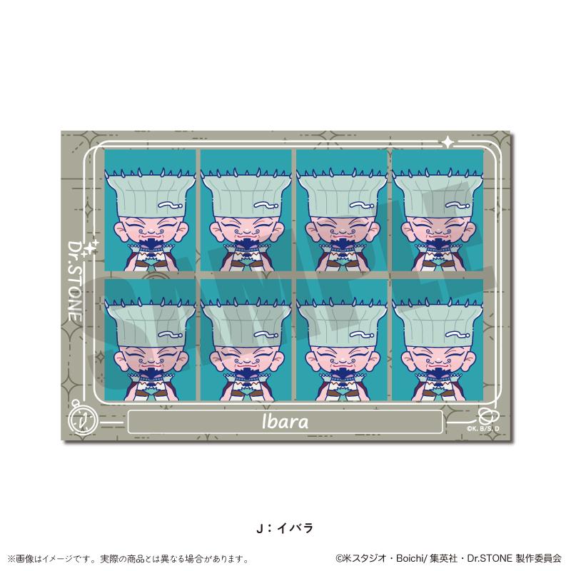 《Dr.STONE 石紀元》_にゅ〜とろ 第二彈 ID照片貼紙 J 伊巴拉