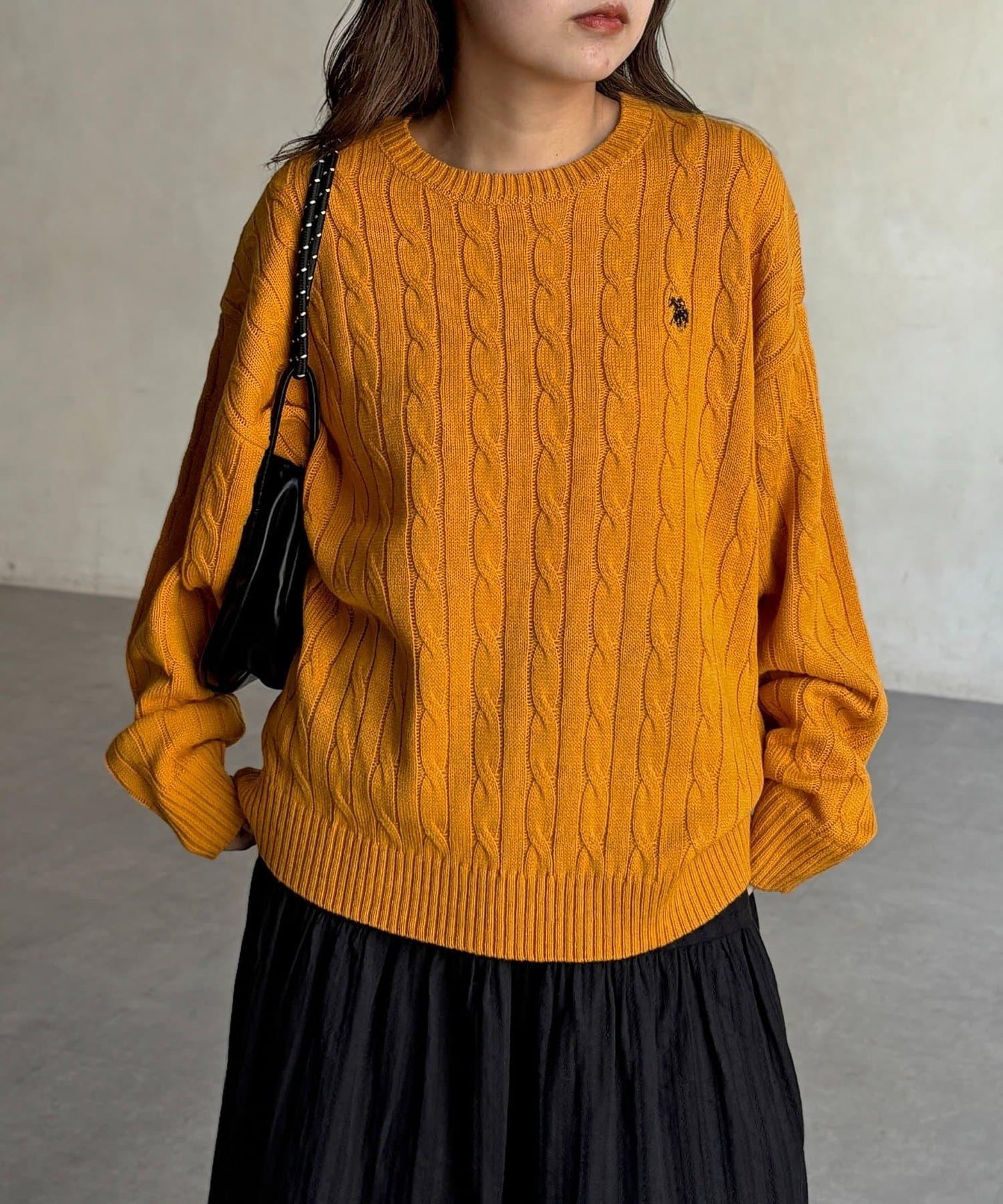 【U.S. POLO ASSN. 】1點刺繡麻花針織套頭衫