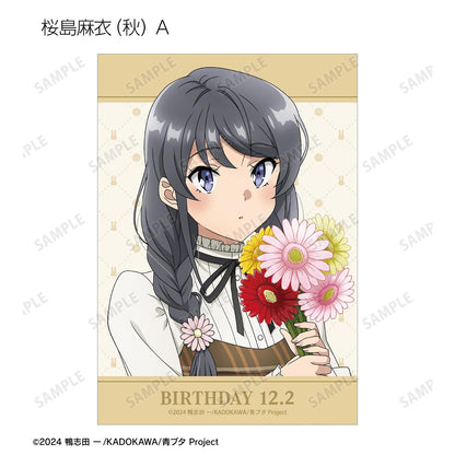 青春豬頭少年不會夢到聖誕老人_全新繪製 隨機寫真卡 ＜櫻島麻衣 生日2025版＞（單位/全套BOX）【BOX/8包入】