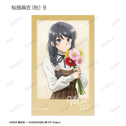 青春豬頭少年不會夢到聖誕老人_全新繪製 交易用拍立得風格插畫卡 ＜櫻島麻衣 生日2025版＞（單品/全套BOX）【BOX/8包入】