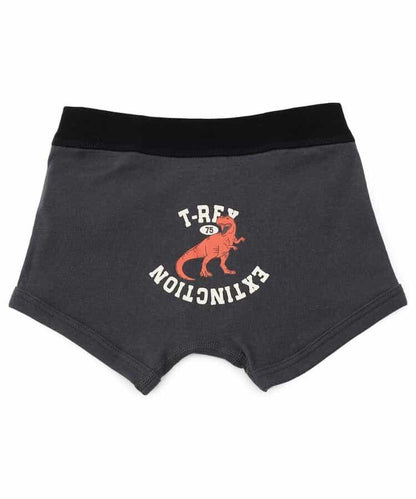 男童恐龍・交通工具背面印花長褲