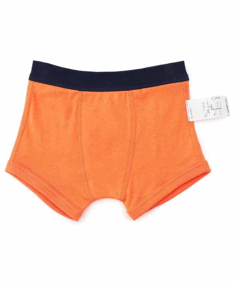 男童恐龍・交通工具背面印花長褲