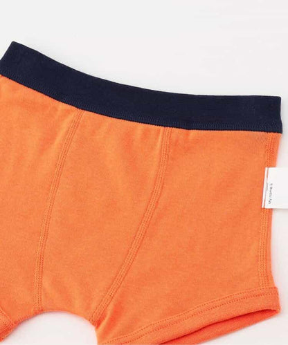 男童恐龍・交通工具背面印花長褲