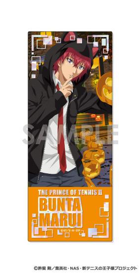 《新網球王子》珍藏版拍攝收藏-王子們的一年-【全套BOX／14個裝】