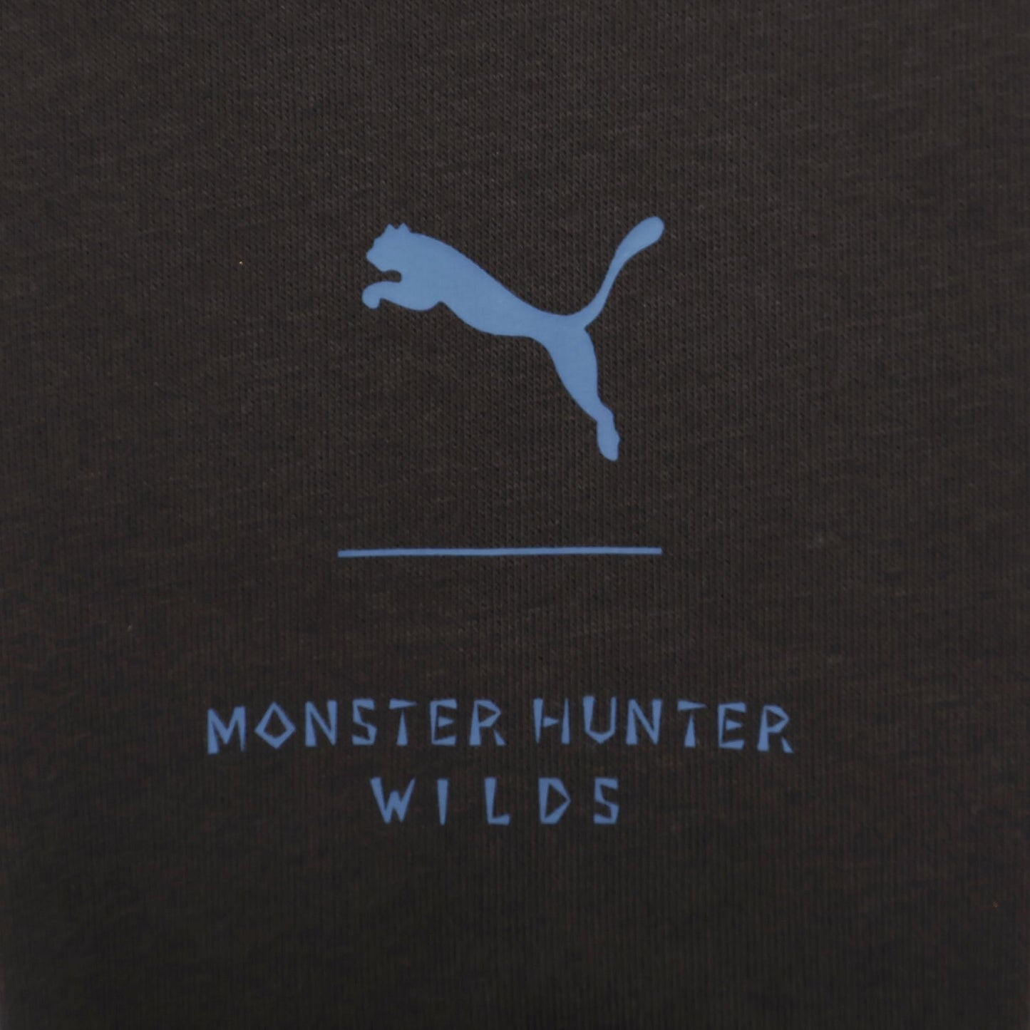 《怪物獵人物語》系列（怪獵）_M碼_PUMA × MONSTER HUNTER 連帽衛衣_黑色