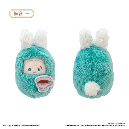 《防風少年》 くるみたぴぬい 下午茶Ver. 【全套BOX／7個裝】