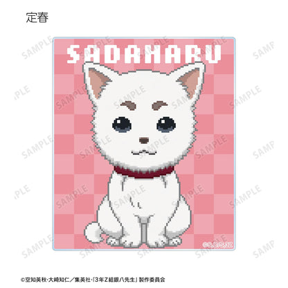 3年Z班銀八老師 隨機DOT DOT亞克力卡片（單品/全套BOX）【BOX/12包入】