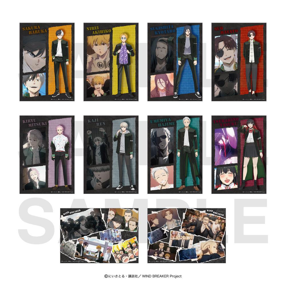 《防風少年》 隨機全息寫真卡（共10款）【BOX／10個裝】