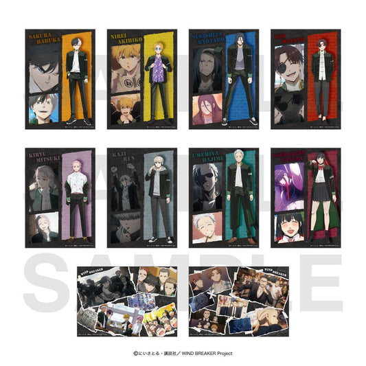 《防風少年》 隨機全息寫真卡（共10款）【BOX／10個裝】