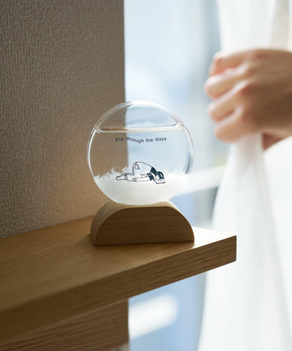 【網紅akane企劃】STORM GLASS HOMEBODY