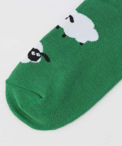 3P適用A款男童多樣襪