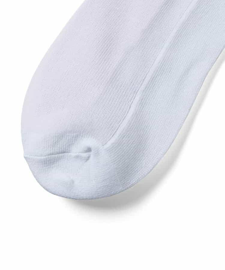 algy標誌透膚高筒襪