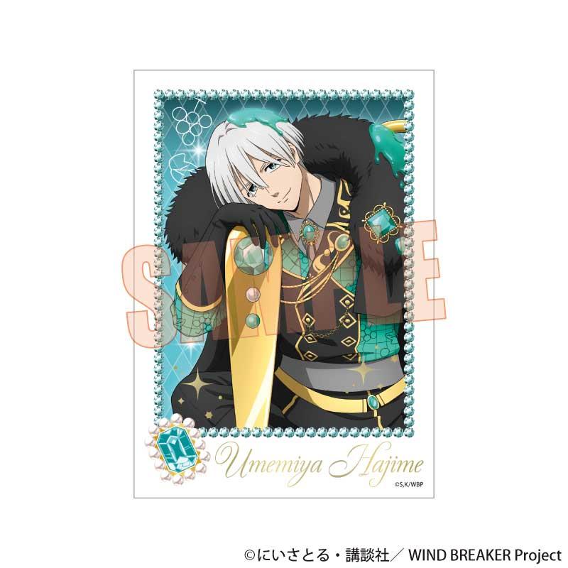 《防風少年》 DOLCE箔押隨機卡片 寫真卡 OPP五包入