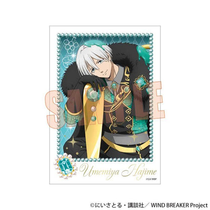 《防風少年》 DOLCE箔押隨機卡片 寫真卡 OPP五包入