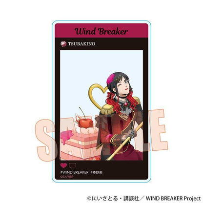 《防風少年》 多爾切系列 亞克力卡 5包入 盒裝