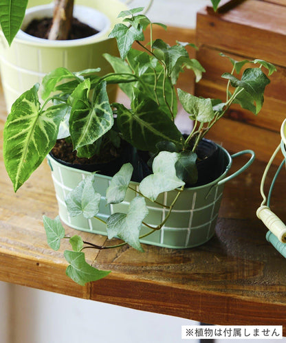 瓷磚圖案 橢圓形 馬口鐵 收納籃