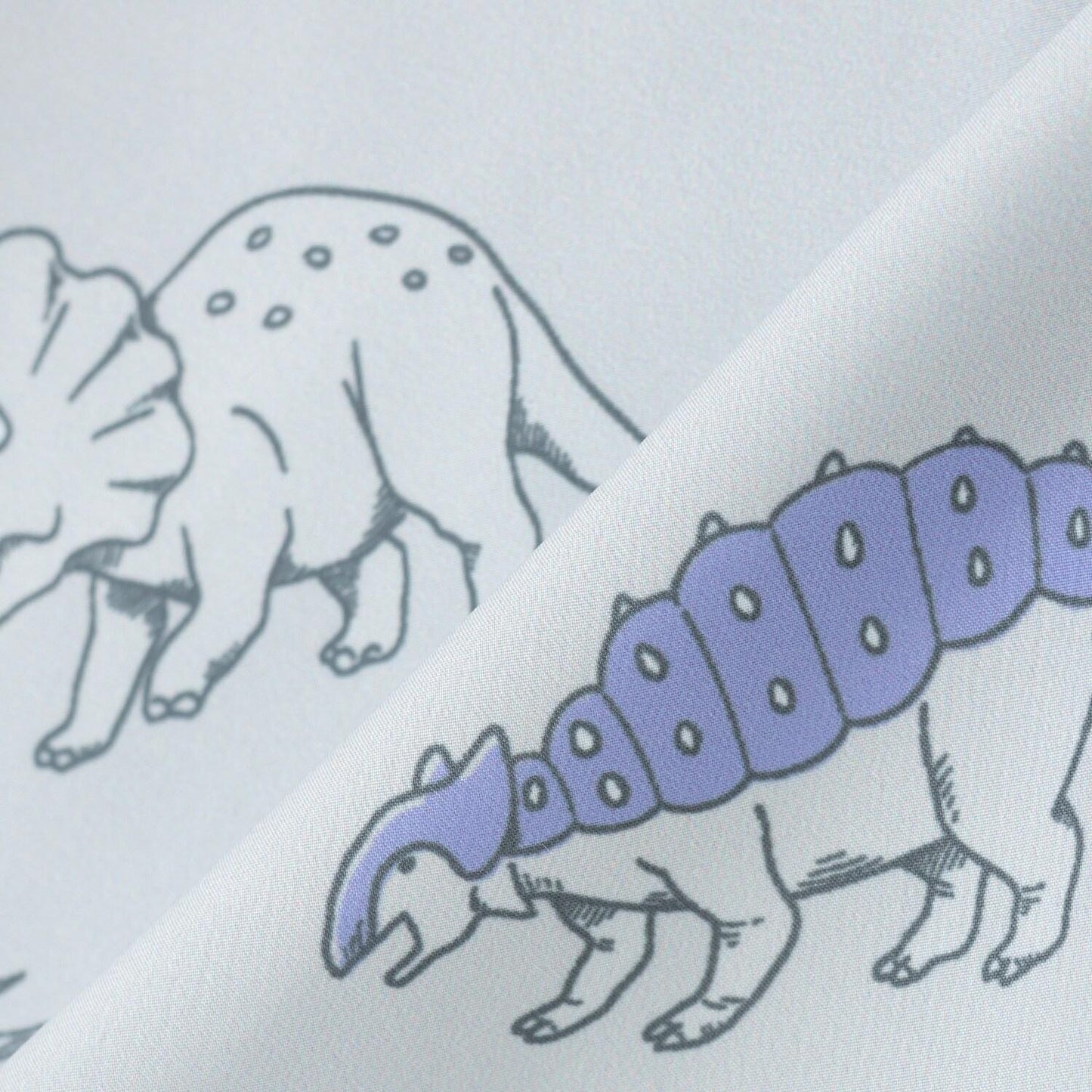 雙面設計 恐龍圖案 防風外套