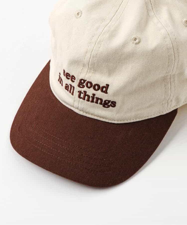 刺繡字母標識設計 棒球帽