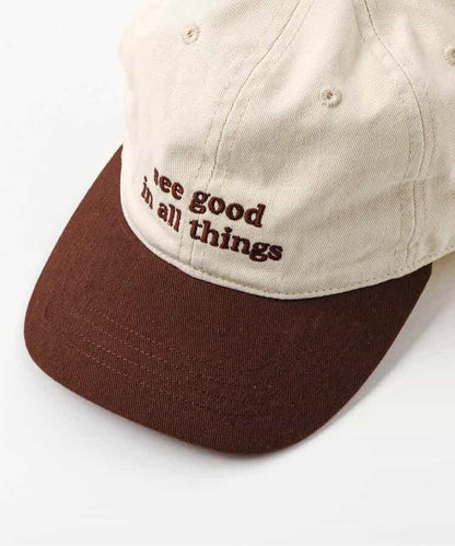 刺繡字母標識設計 棒球帽