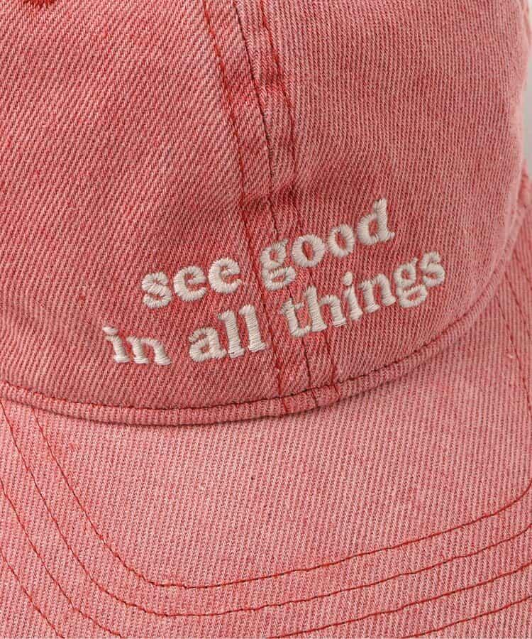 刺繡字母標識設計 棒球帽