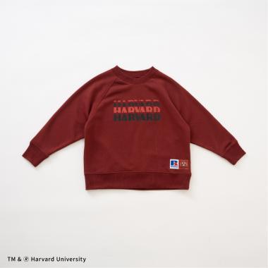 ラッセル 學院風拼款衛衣