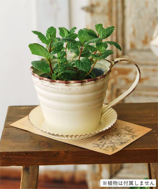 Natural Country Garden 鐵皮咖啡杯