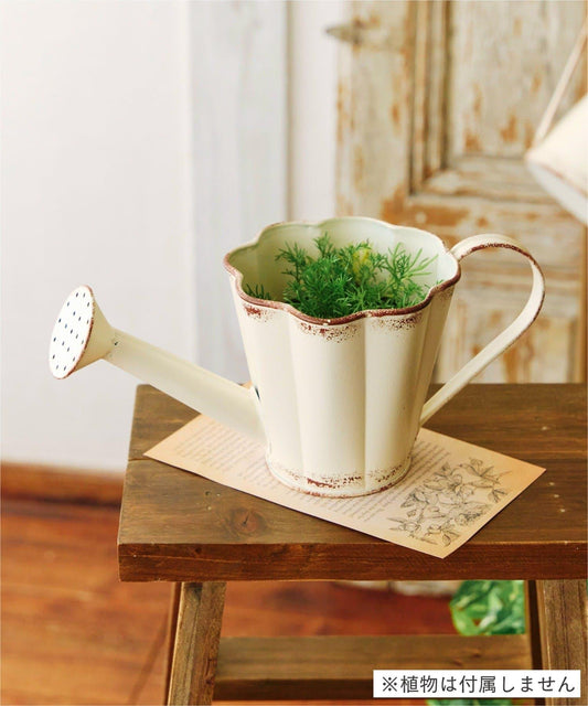 鐵製 Natural Country Garden 澆水壺