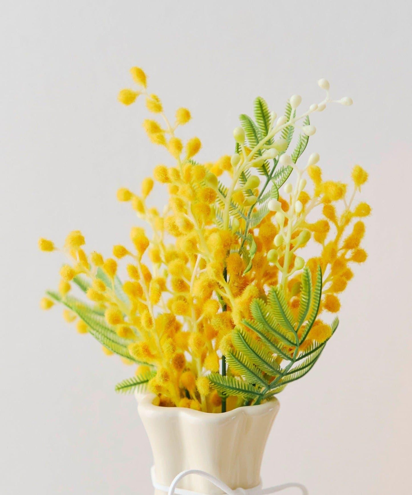 仿真含羞草插枝