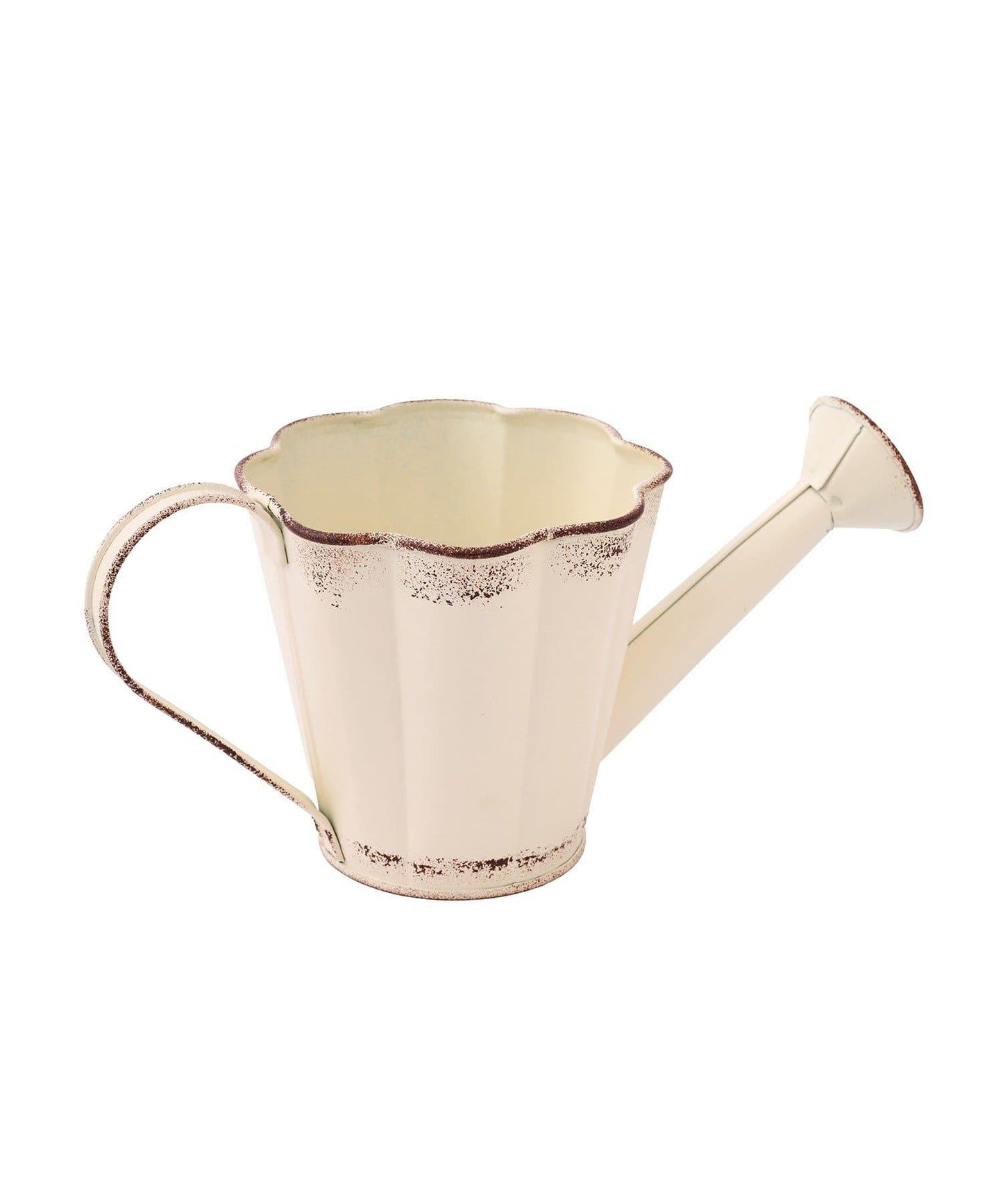 鐵製 Natural Country Garden 澆水壺