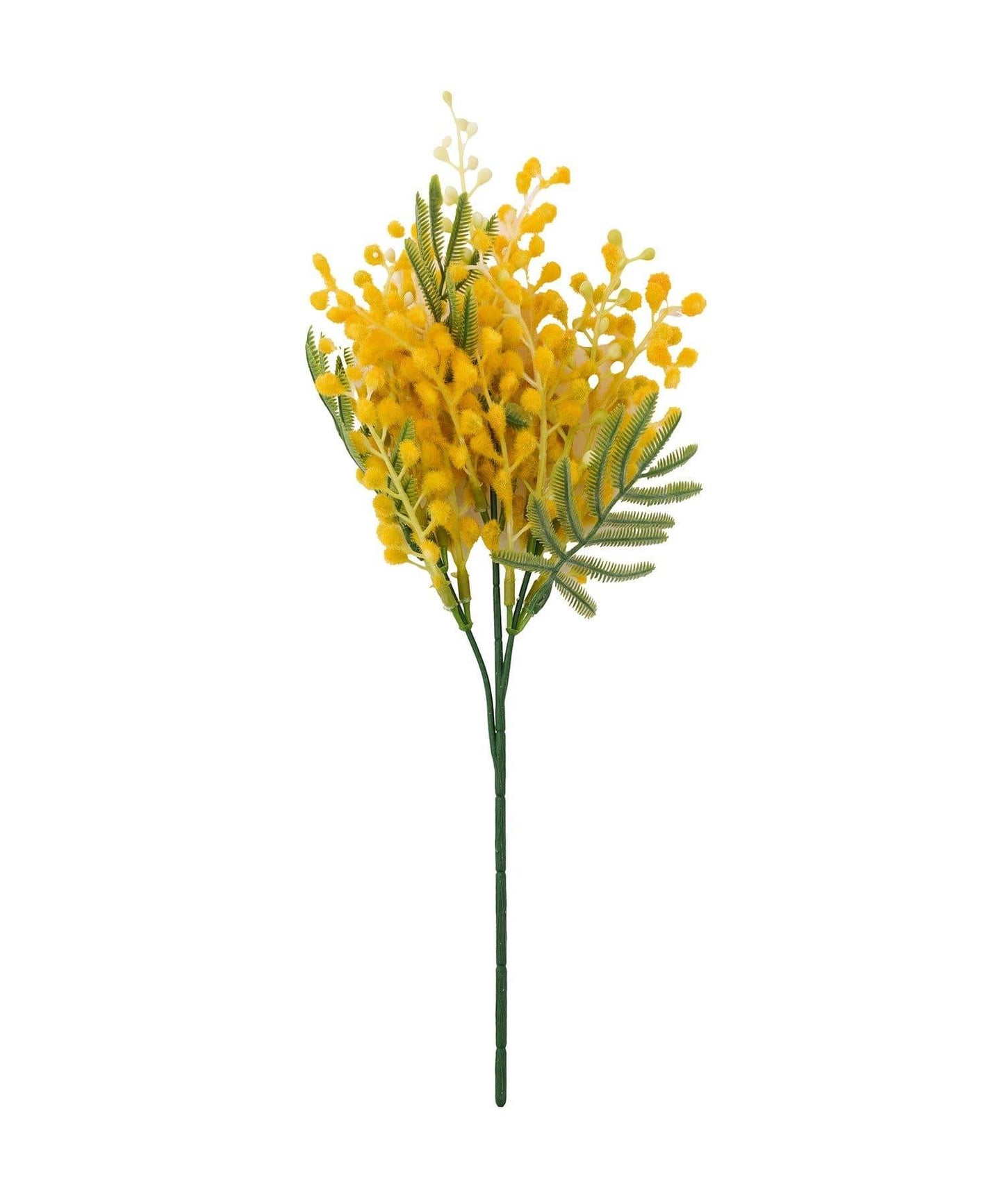 仿真含羞草插枝