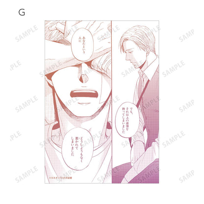 《鳴鳥不飛》 交易寫真卡2枚套裝 第3彈 完整盒（7包入）